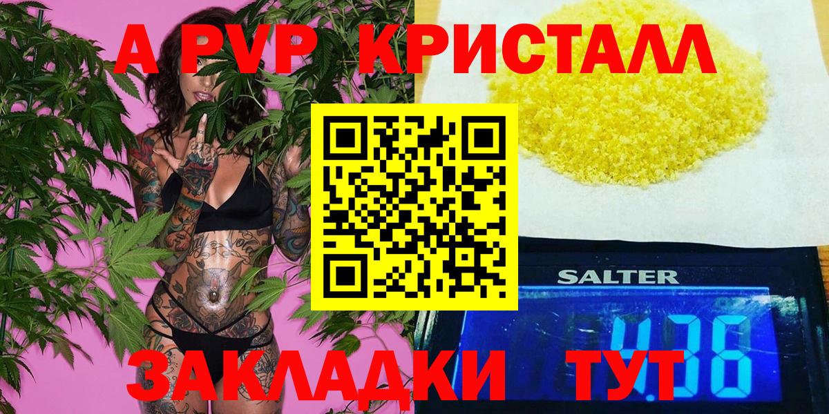 A PVP СК КРИС Нововоронеж