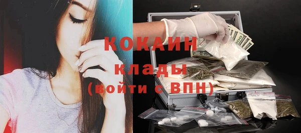 мдпв Инсар