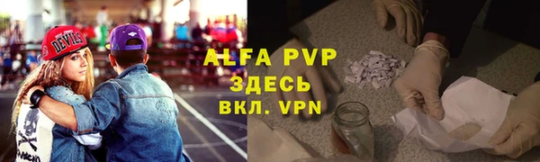 мдпв Инсар