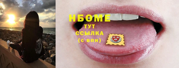 мдпв Инсар