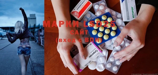 мдпв Инсар