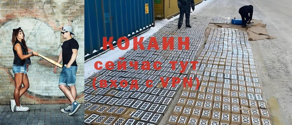 мдпв Инсар