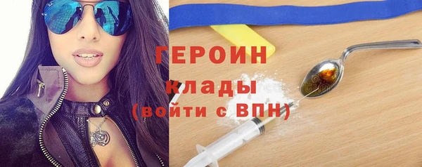 мдпв Инсар