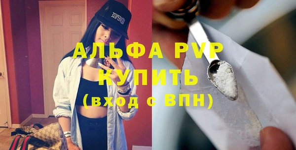 мдпв Инсар