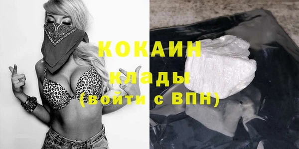 мдпв Инсар