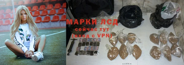 мдпв Инсар
