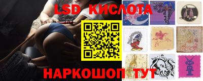 Альфа ПВП Камышлов
