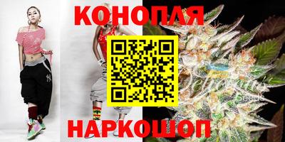 Альфа ПВП Камышлов