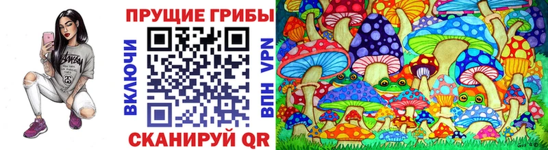 MEGA ССЫЛКА  Нововоронеж  Галлюциногенные грибы прущие грибы  наркотики 
