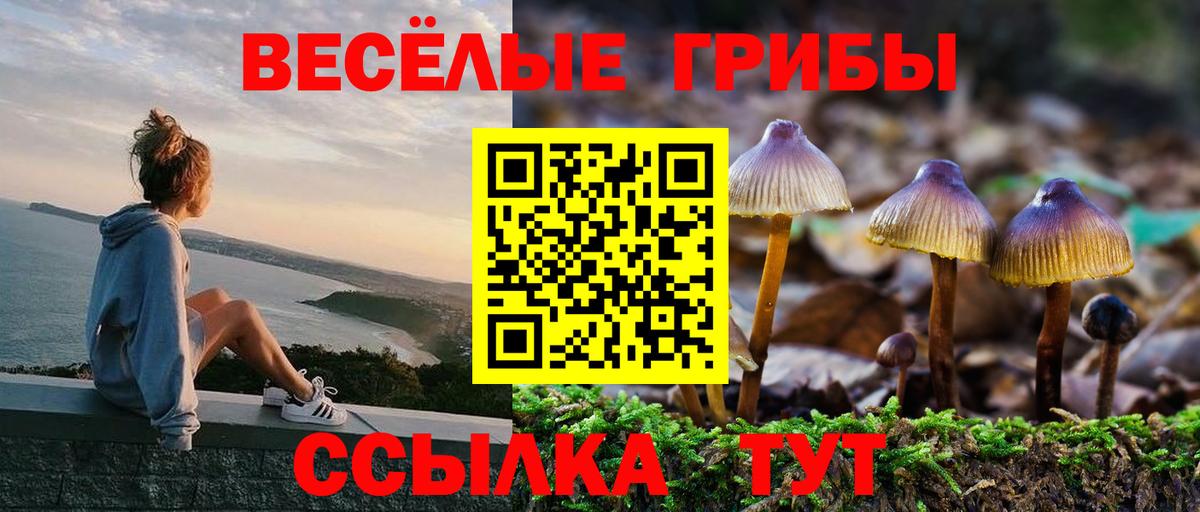 Псилоцибиновые грибы мицелий  Вход с VPN  Галлюциногенные грибы Psilocybe  Нововоронеж 